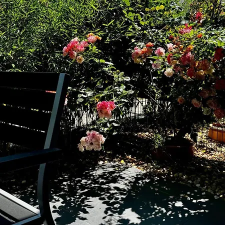 Promenade By Bestchoice - Self Check-in With Parking Option דירה